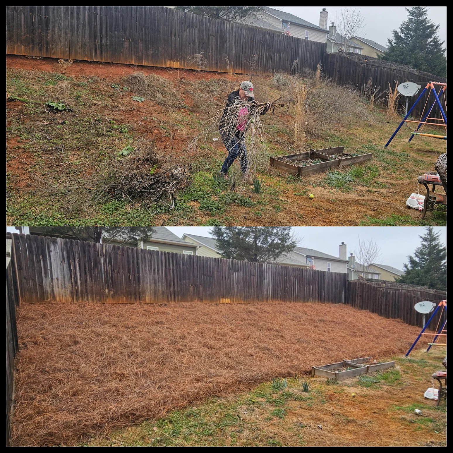 Property Cleanup completed by The Lawn Guy